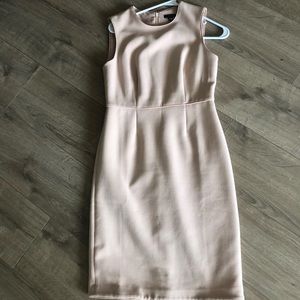 Ann Taylor Shift Dress